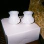 REPLACEMENT GLOBES