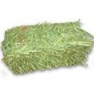 Alfalfa Hay