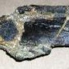 Camarasaurus vertebra wing