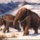 Mammals