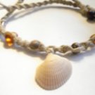 Amber and Shells