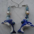 Dolphins