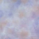 OM-0062 Old Masters Muslin Photo Backgrounds