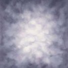 OM-0015 Old Masters Muslin Photo Backgrounds