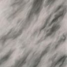 OM-0073 Old Masters Muslin Photo Backgrounds