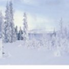 5499 Wide Format Computer Painted Background