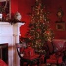 004QS Computer Painted Sale Priced Backdrops