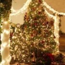 011QS Computer Painted Sale Priced Backdrops