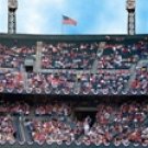 0119QS Computer Painted Sale Priced Backdrops-Quick Ship