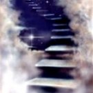 126QS Computer Painted Sale Priced Backdrops-Quick Ship