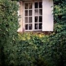 129QS Computer Painted Sale Priced Backdrops-Quick Ship