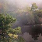 130QS Computer Painted Sale Priced Backdrop-Quick Ship