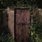 133QS Computer Painted Sale Priced Backdrops-Quick Ship