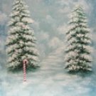 XM-36 Special 8x10 Hand Painted Scenic Muslin Background