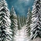 XM-65 Special 8x10 Hand Painted Scenic Muslin Background