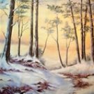 005  Premium Hand Painted Scenic Backdrop Studio Background