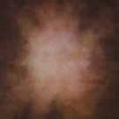 Rembrant Brown Canvas Backdrop Hand Painted Photography Background
