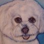 Bichon Frise portrait - Handmade Personalized Notecards dog notecards