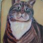 Tabby Cat striped kitty wood leash key rack peg holder handmade gift