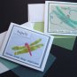 Whimsical Dragonfly Notecards Insect Dragon-fly Note-cards set 8