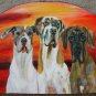 LEASH key rack peg holder wood rack COMMISSIONED photo