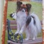 Papillon dog on park bench toy dog papillon breed handmade notecards  custom cards