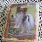 Papillon dog on park bench toy dog papillon breed handmade notecards  custom cards