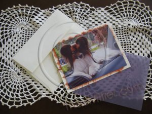 Notecards handmade high end boutique style note-cards Papillon dog Animal Pet custom notecards