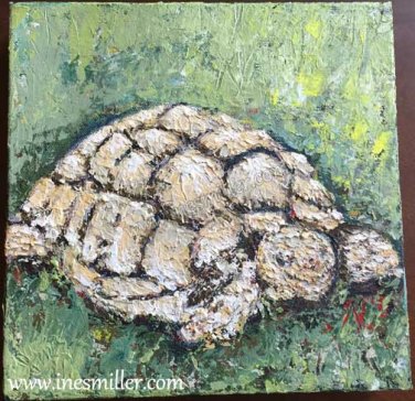 Palette Knife Painting for sale Sulcata Tortoise Original Acrylic Painting