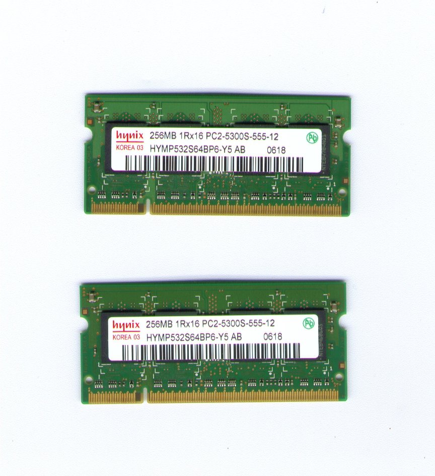 256MB RAM MEMORY STICK 1Rx16 PC25300S for LAPTOP COMPUTERS (2 sticks available)