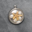 Unique Framed Shell Starfish Pendant Charm