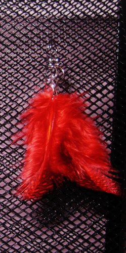 Feather Earrings