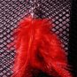Feather Earrings