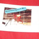 Princess Diana 4x6 photo  ~  DELIGHTFUL ~ 39