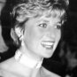 Princess Diana photo 4x6   ~ just lovely ~ 4