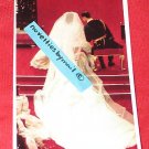 Princess Diana 4x6 photo ~ SHEER ELEGANCE 189 ~ wedding