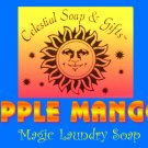 Apple Mango Natural VEGAN Laundry Soap Powder SAMPLE 6 oz. 5-10 Loads