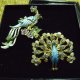 woman cloth , Accessories,Jewelry,pin