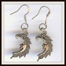 Tibetan Moons