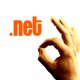 DOT NET DOMAINS