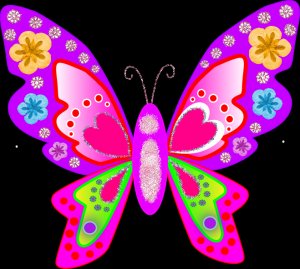 Multicolor Butterfly