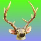 deer head