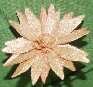 Dry flower 3