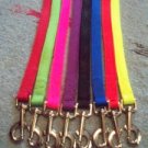Dog Leash 1 Inch Webbing 2 Ply USA Made Strong Webbing