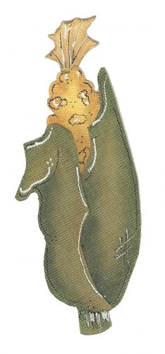 Corn