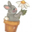 Bunny in a Flower Pot