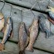 Fishing Cabin Decor