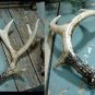 10 Pt Resin Deer Antlers Faux Fake Antler