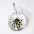 Giant African Fruit Beetle Keyring #1 - from Zimbabwe!