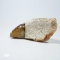 "Shona Sister" Serpentine Shona Stone Sculpture Hand Carved in Zimbabwe!